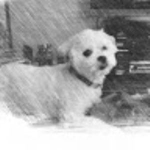 Meet your Posher, Cassandra p